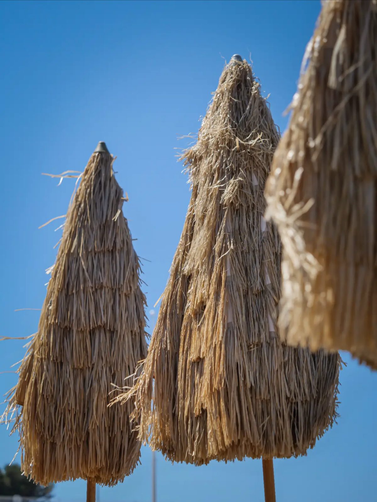 Trois parasols en paille sous ciel bleu
