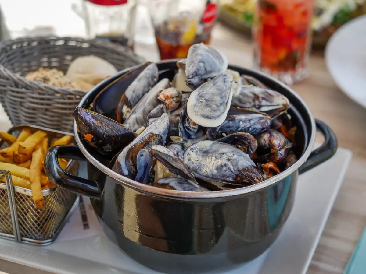 Cocotte de moules sauce blanche avec frites maison
